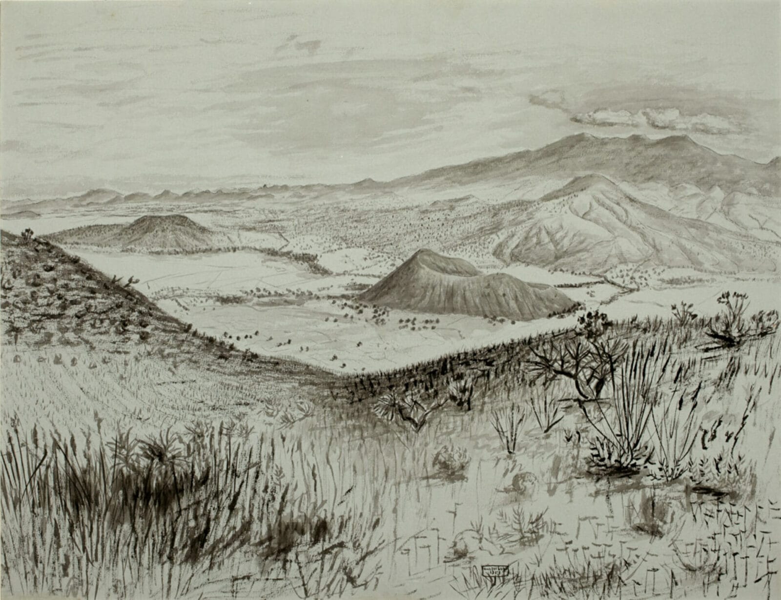 Paisaje / Landscape. Artist: Amador Lugo. Date: 1953. Medium: Aguada sobre papel / ink wash on paper.