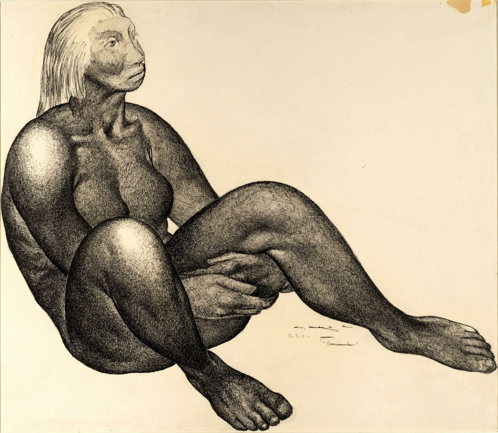Desnudo sentado (estudio para la pintura ‘Mujer desnuda’) / Seated Nude (study for the painting ‘Nude Woman’). Artist: Guillermo Meza. Date: c. 1945. Medium: tinta sobre papel / ink on paper.