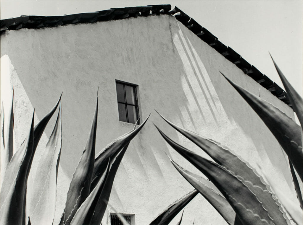 Ventana a los magueyes / Window on the Maguey Plants. Artist: Manuel Álvarez Bravo. Date: 1976, printed 1979. Medium: plata sobre gelatina / gelatin silver print.