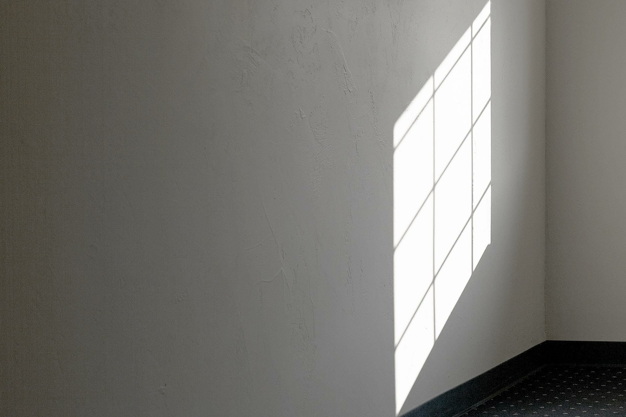 James, Cagle, Domestic Image (Diamond), 2015. Archival pigment print, 12 x 18 inches (20 x 26 inches). Collection of the Madison Museum of Contemporary Art. Gift of the artist.