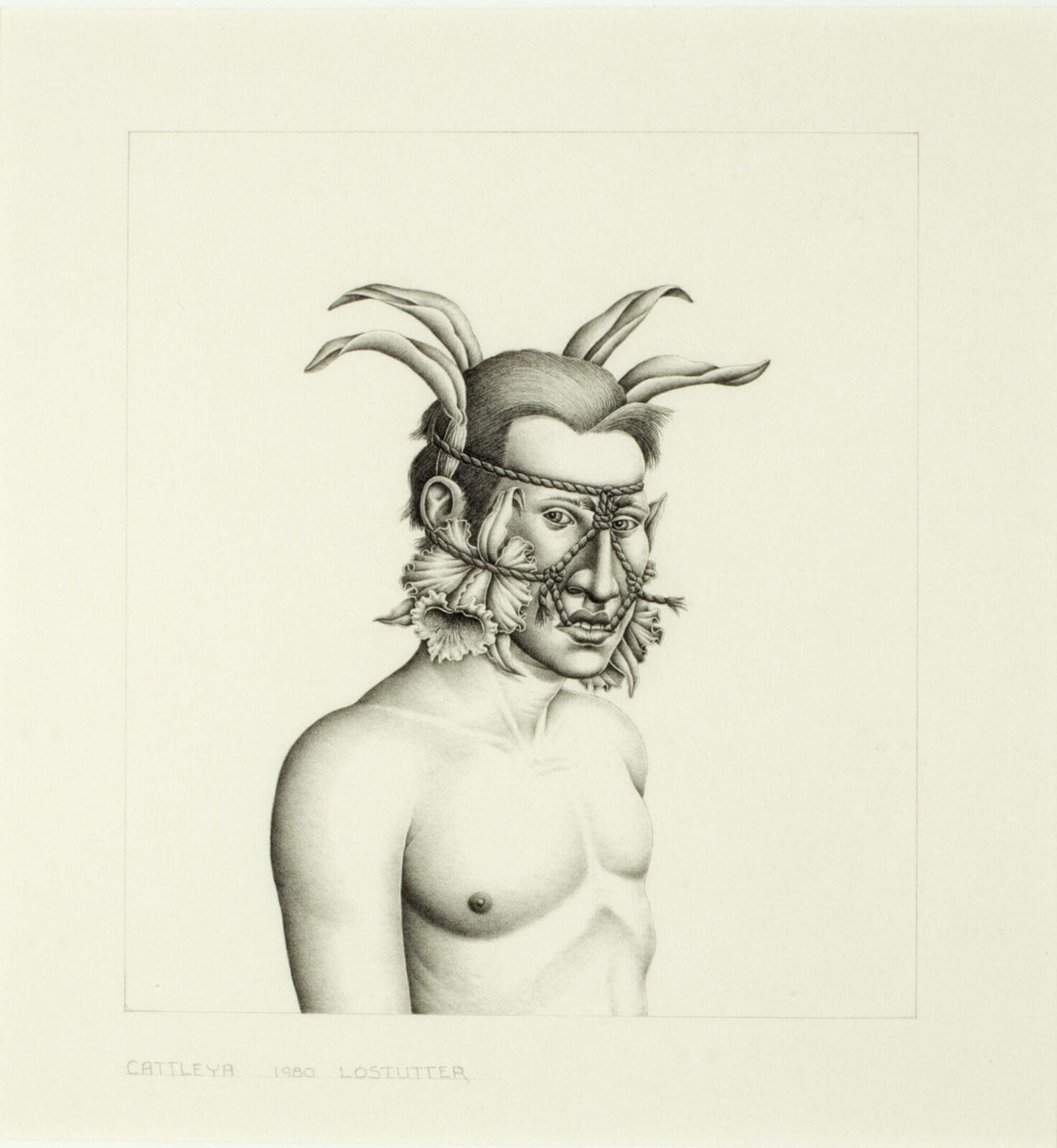 Cattleya. Artist: Robert Lostutter. Date: 1980. Medium: graphite on paper.