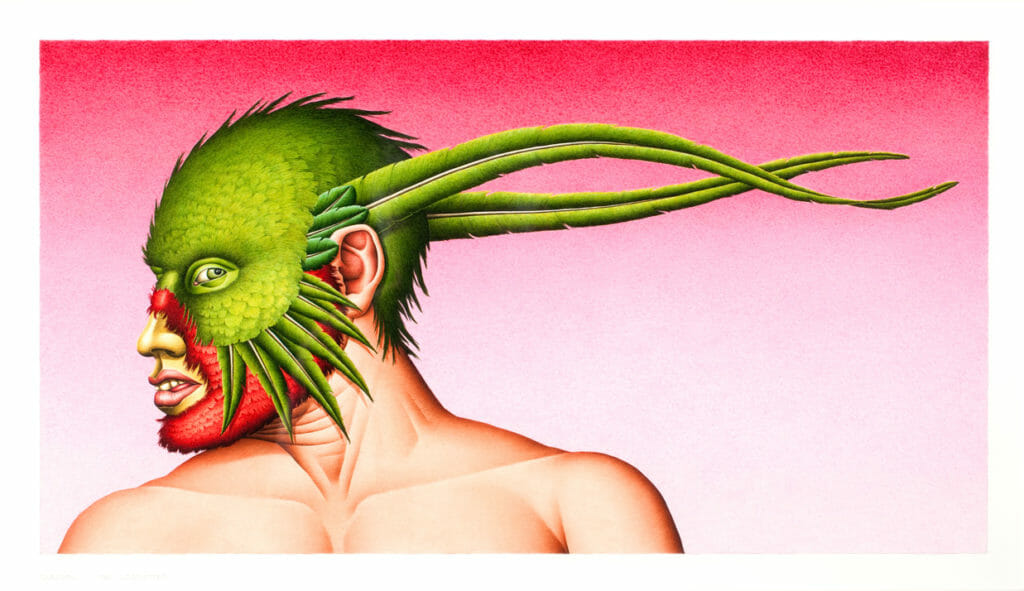 Quetzal. Artist: Robert Lostutter. Date: 1981. Medium: watercolor on paper.