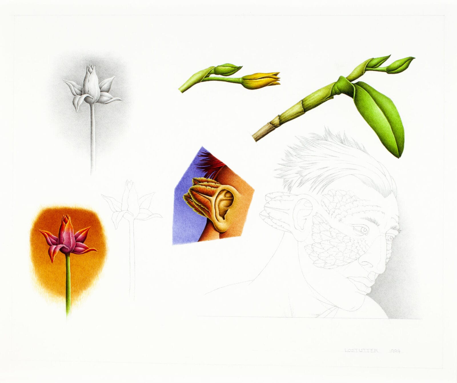Untitled #27. Artist: Robert Lostutter. Date: 1994. Medium: watercolor and graphite on paper.