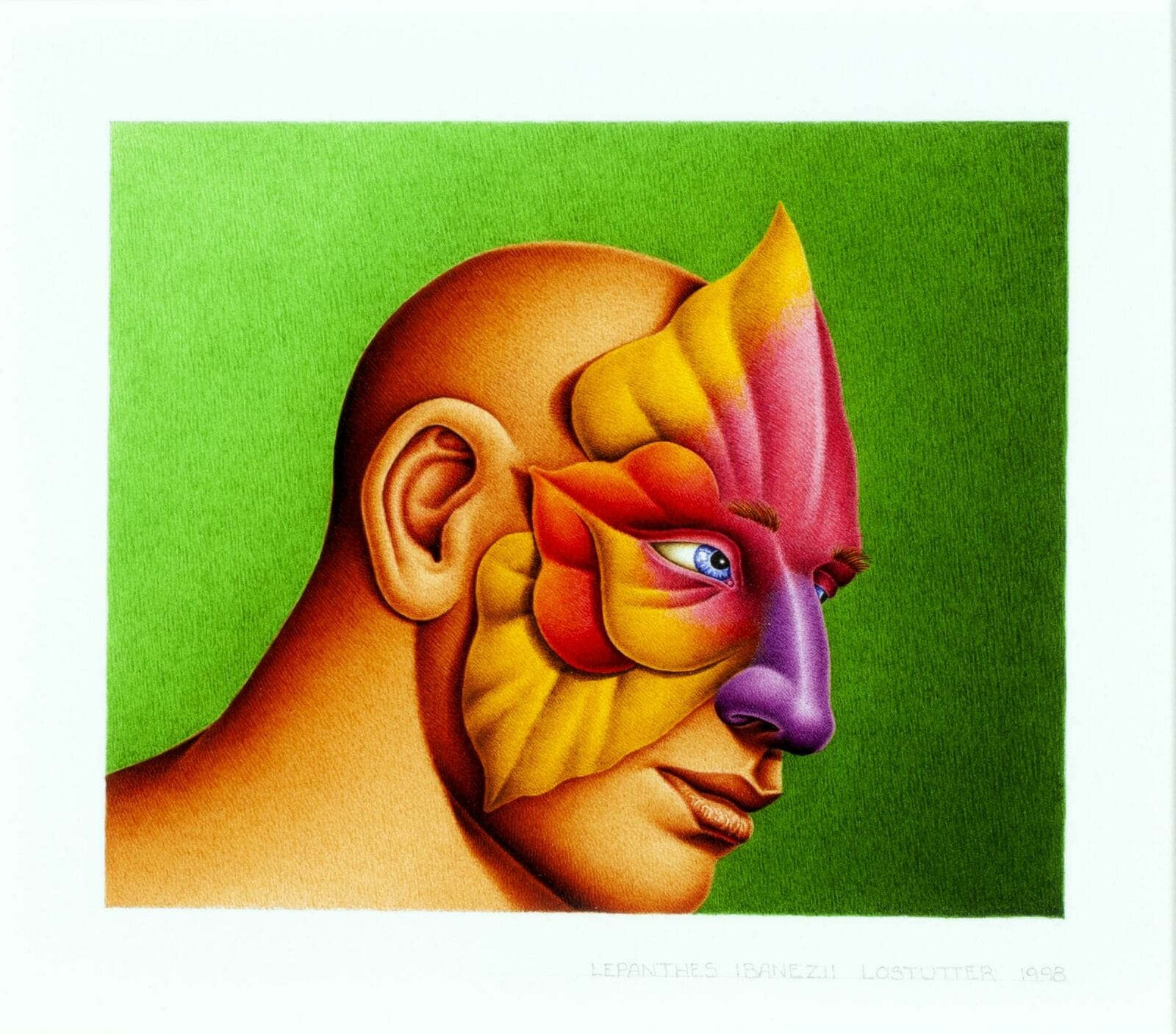 Lepanthes Ibanezii. Artist: Robert Lostutter. Date: 1998. Medium: watercolor on paper.