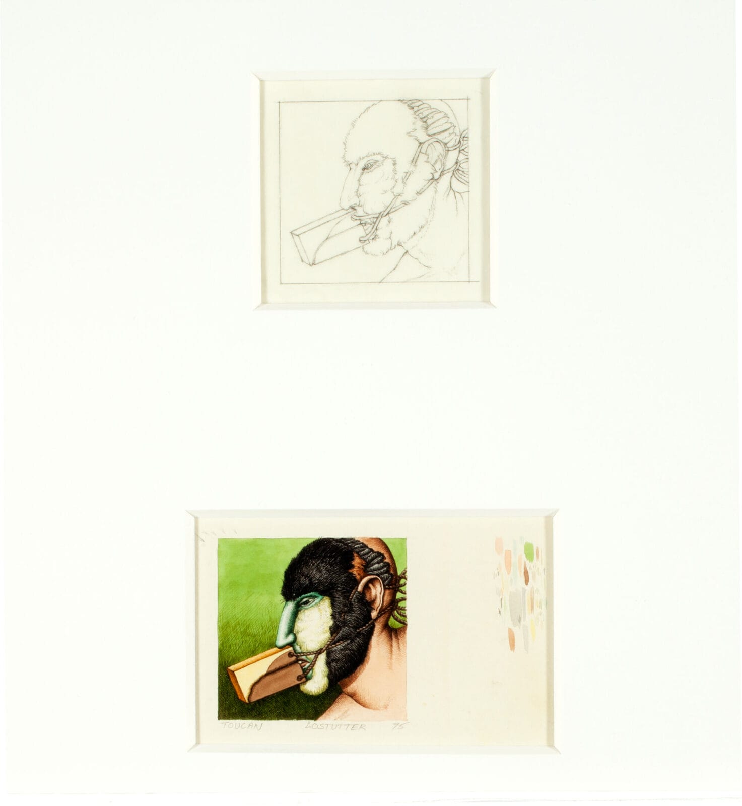 Toucan (preparatory drawing and tracing). Artist: Robert Lostutter. Date: c. 1975. Medium: watercolor and graphite on paper.