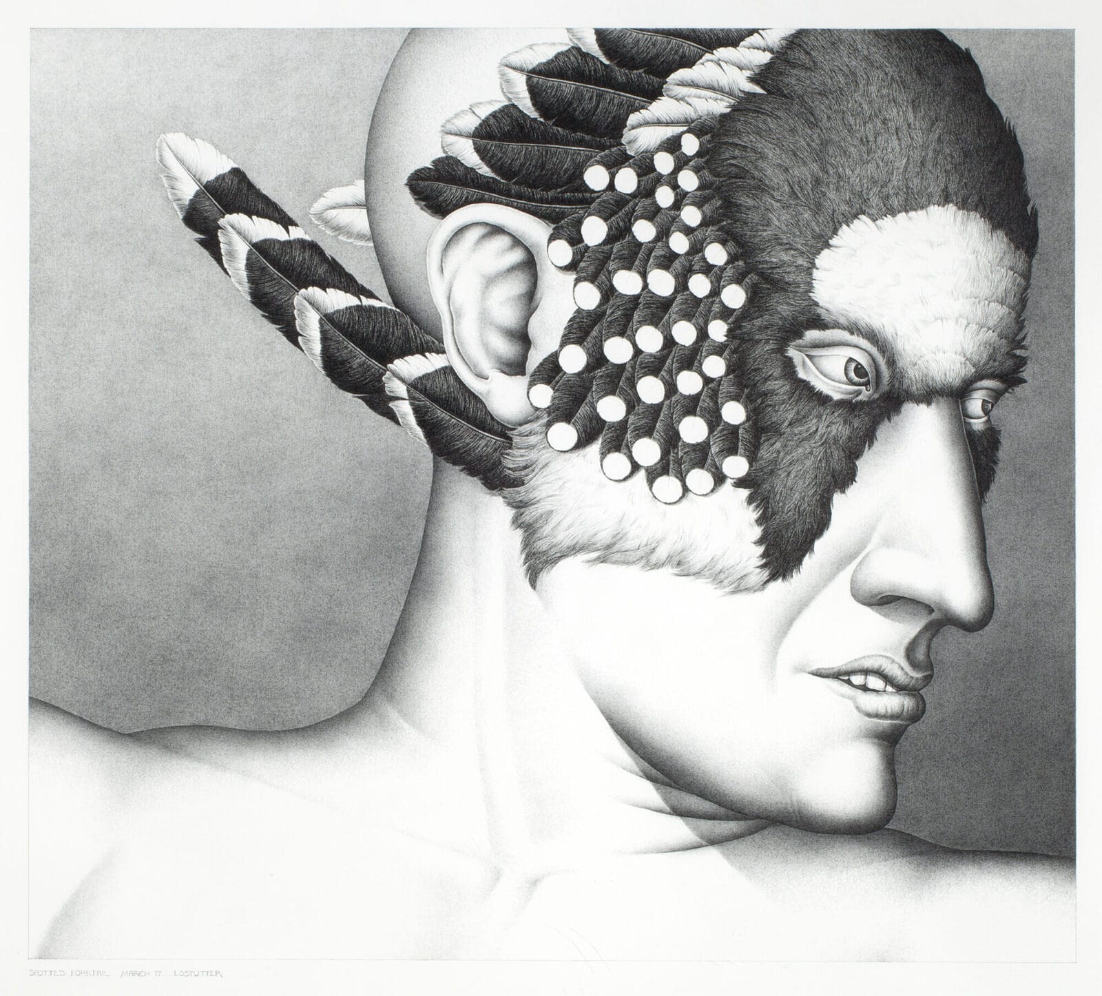 Spotted Forktail. Artist: Robert Lostutter. Date: 1977. Medium: graphite on canvas.