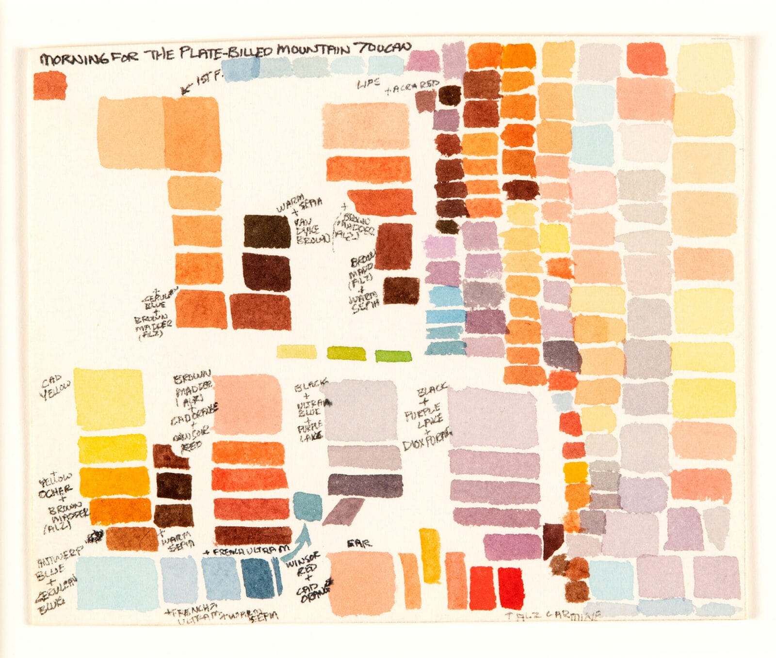 Preparatory drawing and two palettes (Study for Plate-Billed Mountain Toucan). Artist: Robert Lostutter. Date: 1986-1990. Medium: watercolor on paper.