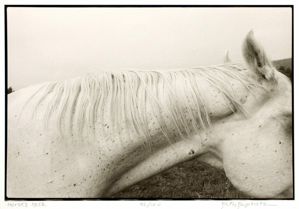 Horse’s Neck. Artist: Beth Baptiste. Date: 1978. Medium: photograph.