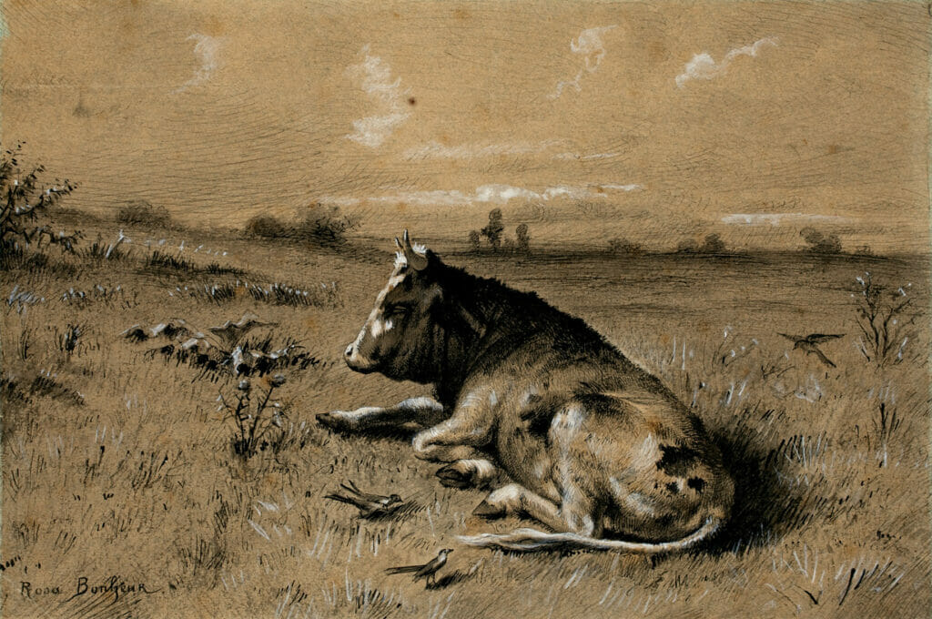 Landscape with Reclining Bull. Artist: Rosa Bonheur. Medium: ink drawing, heightened in white.