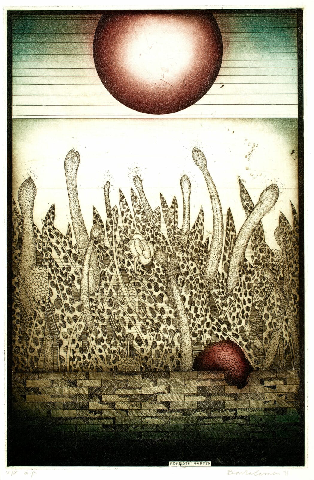 Forbiden Garden. Artist: Bartolomeu Dos Santos. Date: 1971. Medium: etching.