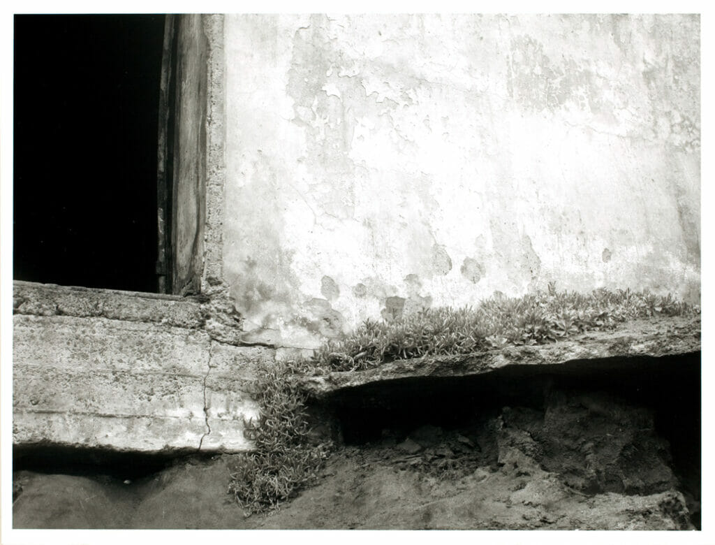 Sutro Baths. Artist: Gregory Conniff. Date: 1978. Medium: gelatin silver print.