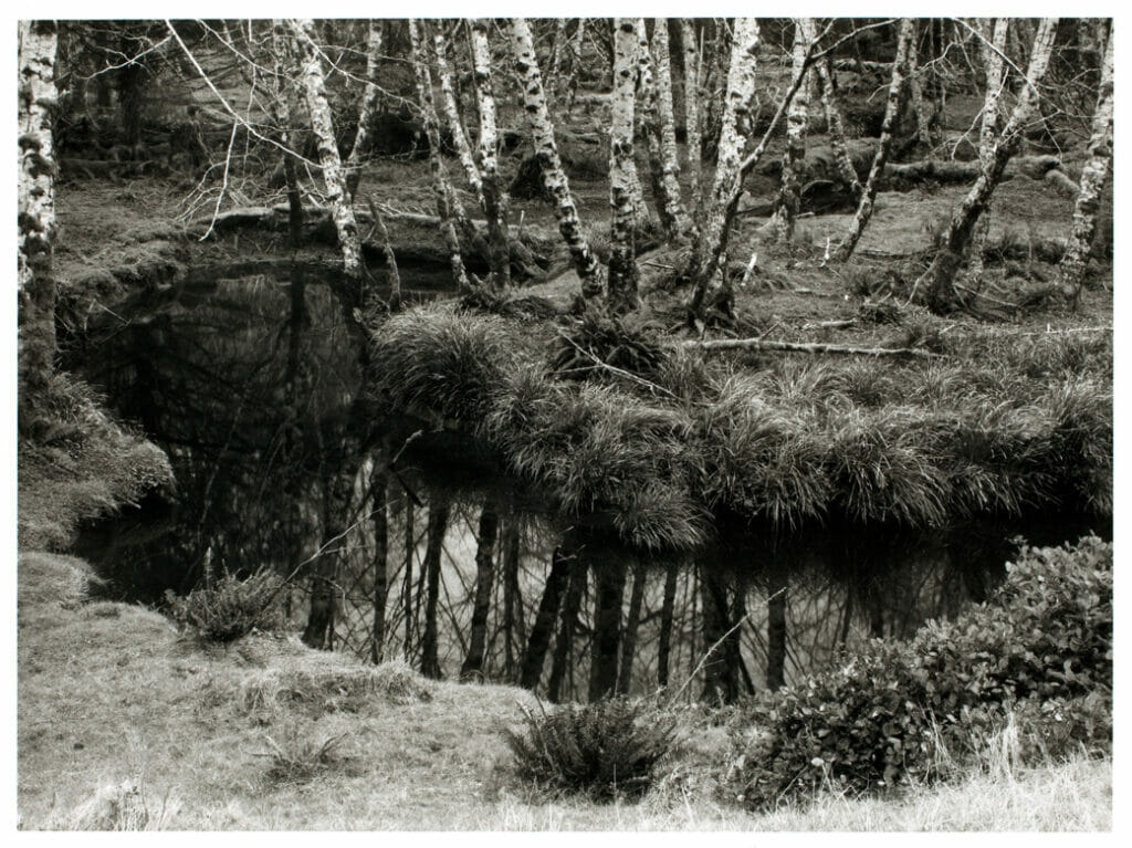 South of La Push. Artist: Gregory Conniff. Date: 1978. Medium: gelatin silver print.