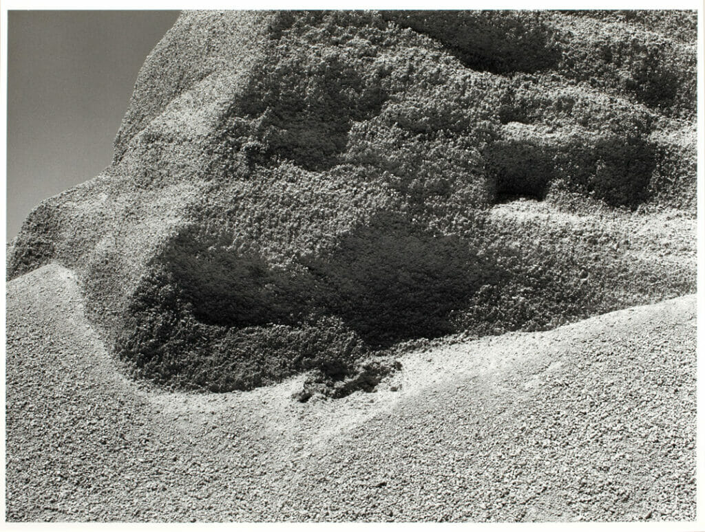 Madison, Wisconsin. Artist: Gregory Conniff. Date: 1978. Medium: gelatin silver print.