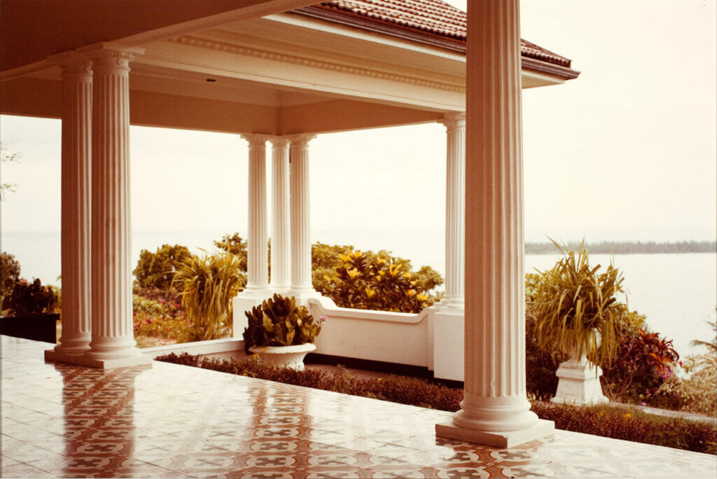Jamaica Botanical Series. Artist: William Eggleston. Date: 1979. Medium: photograph.