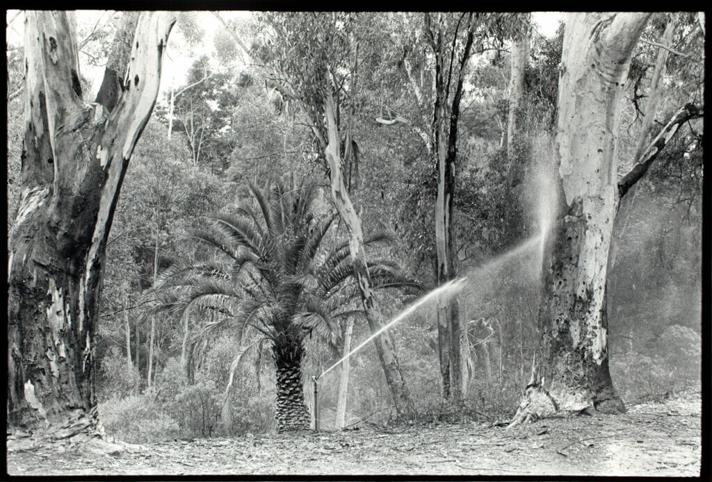 San Diego. Artist: Bill Dane. Date: 1973. Medium: gelatin silver print.