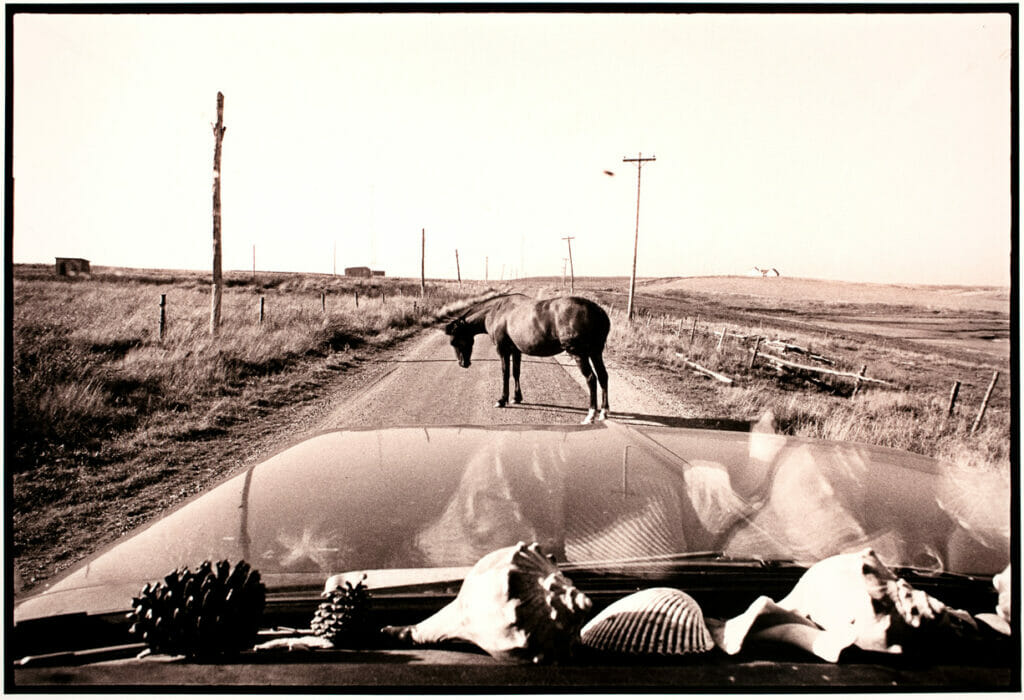 Untitled. Artist: Michael Becotte. Date: 1974. Medium: sepia and gold-toned silver gelatin print.