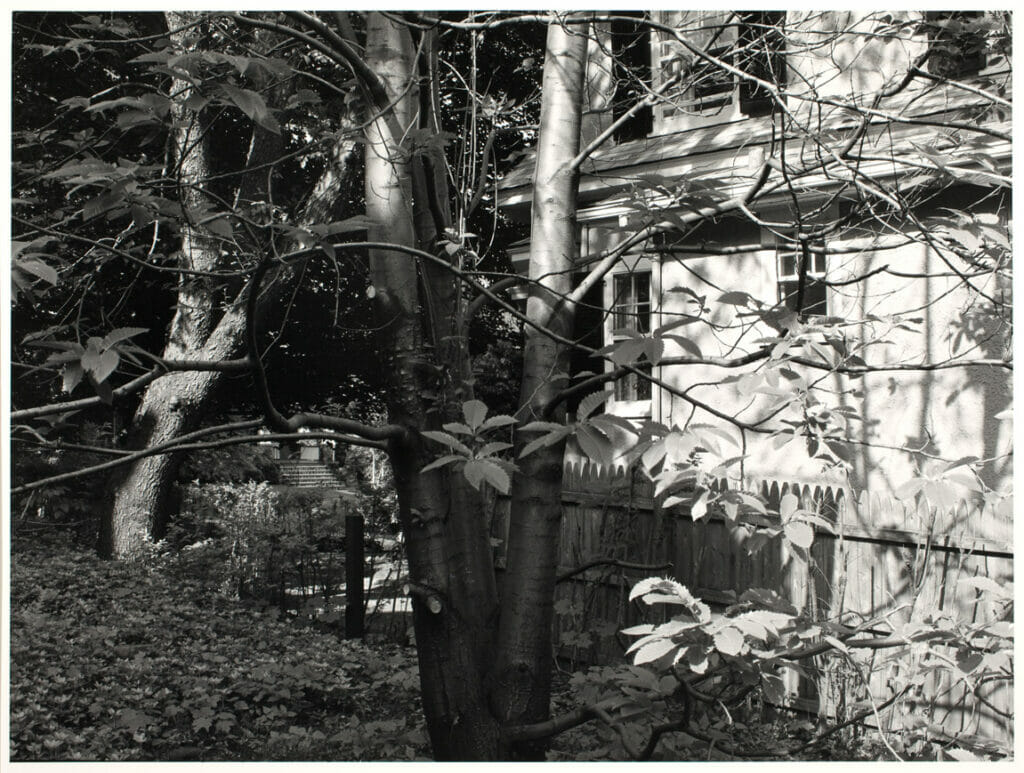 Winesburg, Ohio. Artist: Gregory Conniff. Date: 1984. Medium: gelatin silver print.