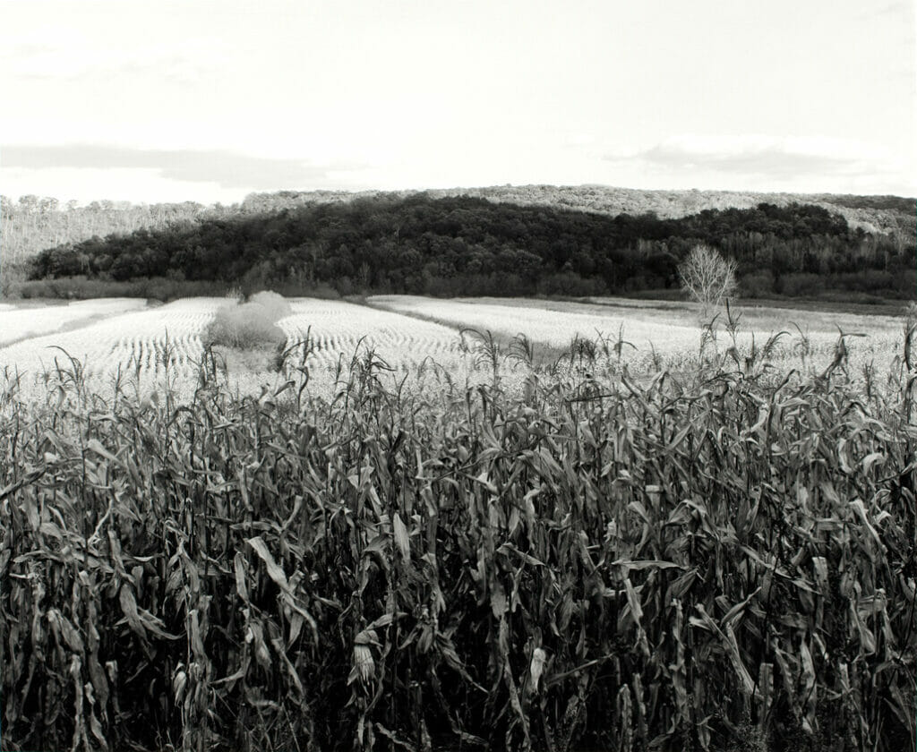 Iowa County, Wisconsin Autumn. Artist: Gregory Conniff. Date: 1990. Medium: gelatin silver print.