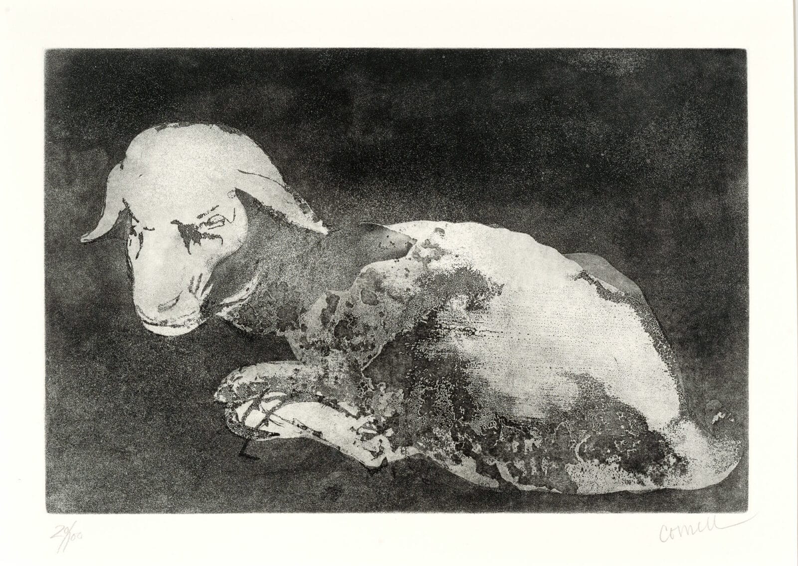 Lamb. Artist: Thomas Cornell. Date: 1969. Medium: aquatint.