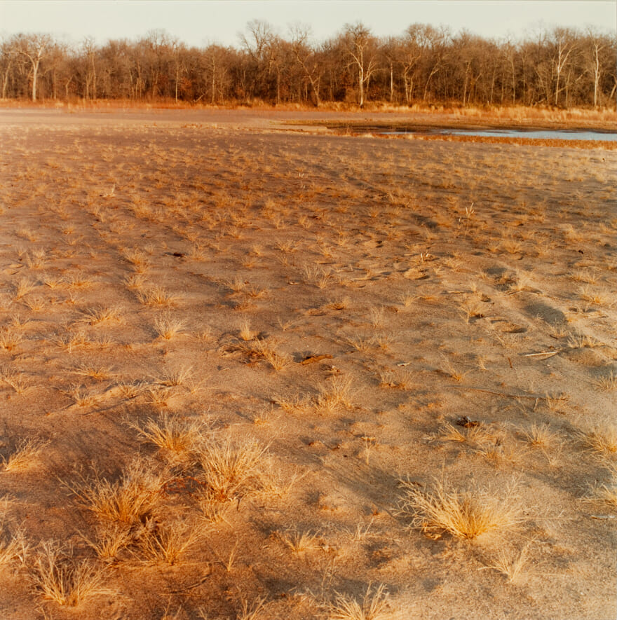 Wisconsin River Bed. Artist: Regina Flanagan. Date: 1981. Medium: color photograph.