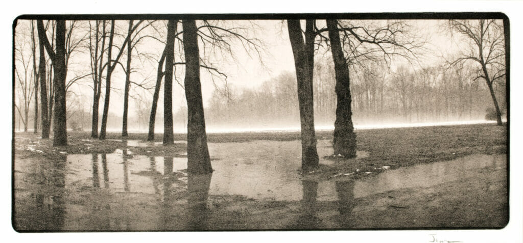 Rock Creek Park #4. Artist: Allan Janus. Medium: polylith photograph.