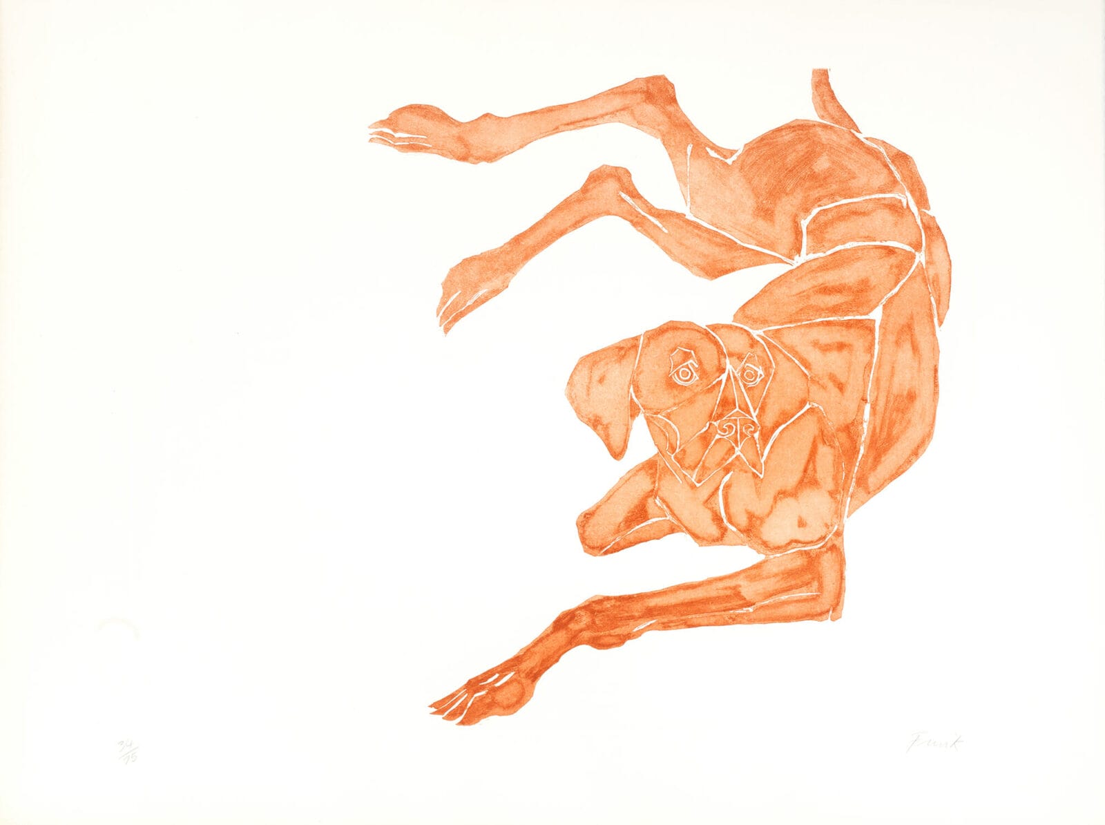 Viszla (a). Artist: Elisabeth Frink, Dame. Date: 1980. Medium: etching with aquatint.