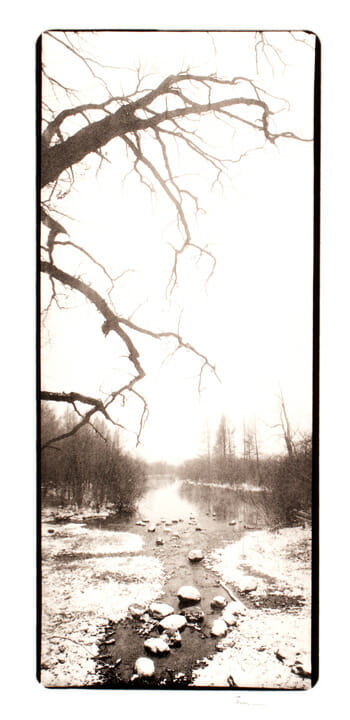 Madison Arboretum. Artist: Allan Janus. Date: 1985. Medium: gelatin silver print.