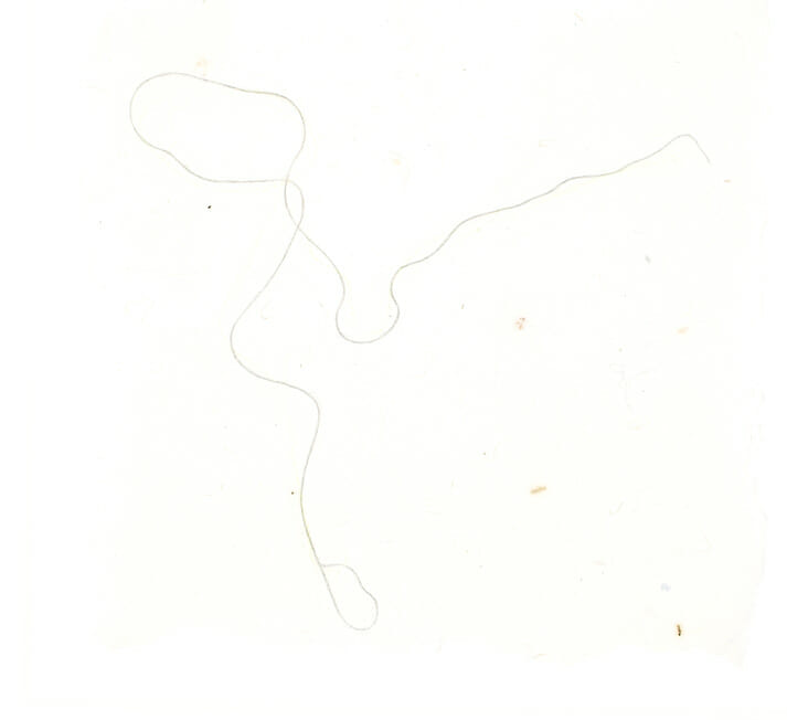 Untitled apograph. Artist: Joel Fisher. Date: 1982. Medium: pencil, conté crayon, and found fiber.