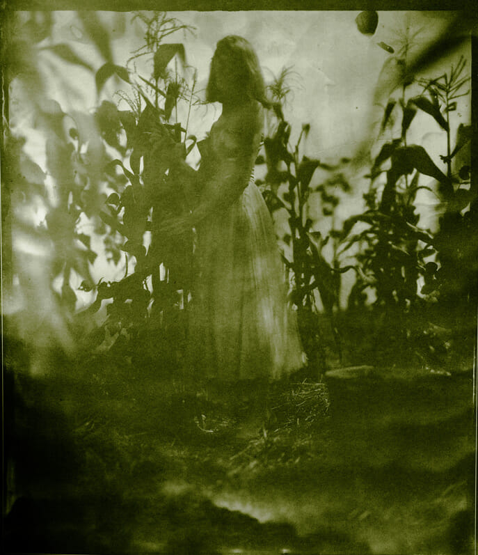 Prom Queen Picking Corn. Artist: J. Shimon and  J. Lindemann. Date: 2012. Medium: ambrotype.