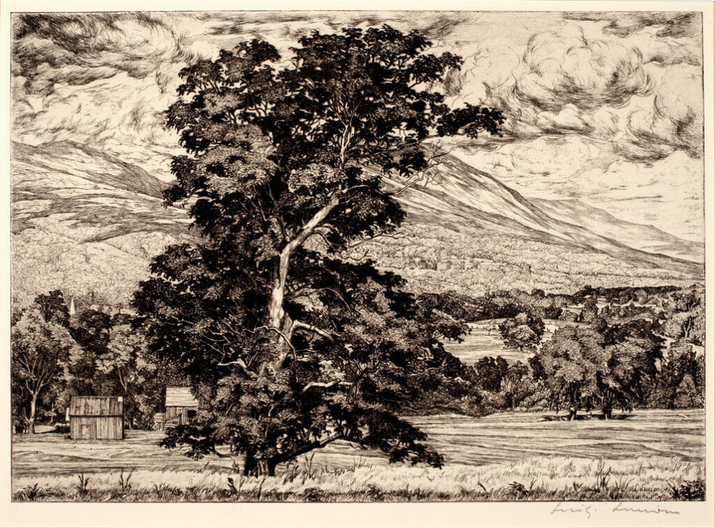 Peaceful Pastures. Artist: Luigi Lucioni. Date: 1941. Medium: etching.