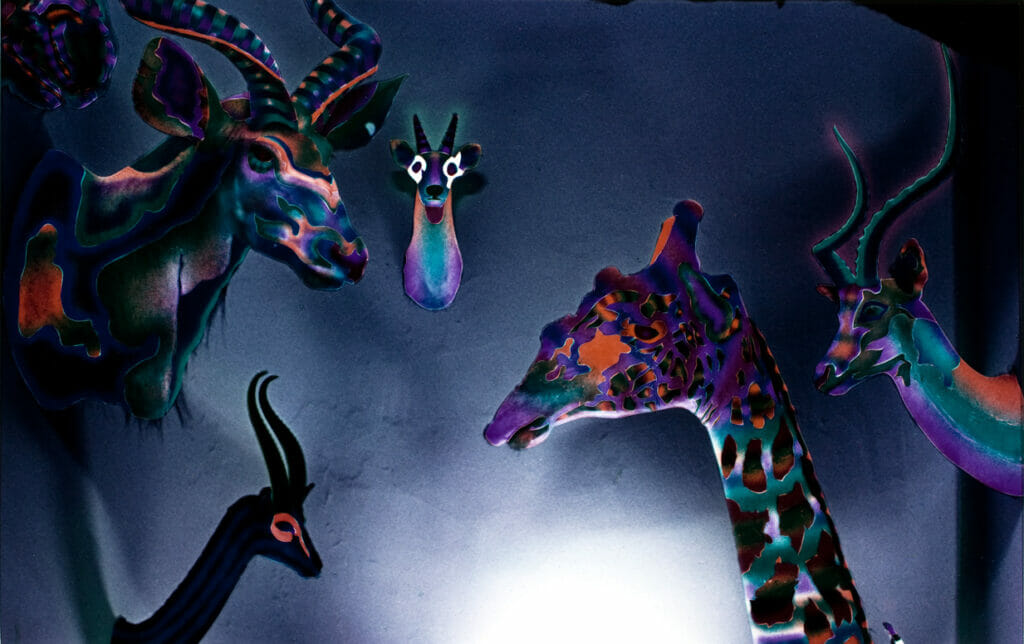 Untitled. Artist: Carl Kurtz. Date: 1974. Medium: color photograph.