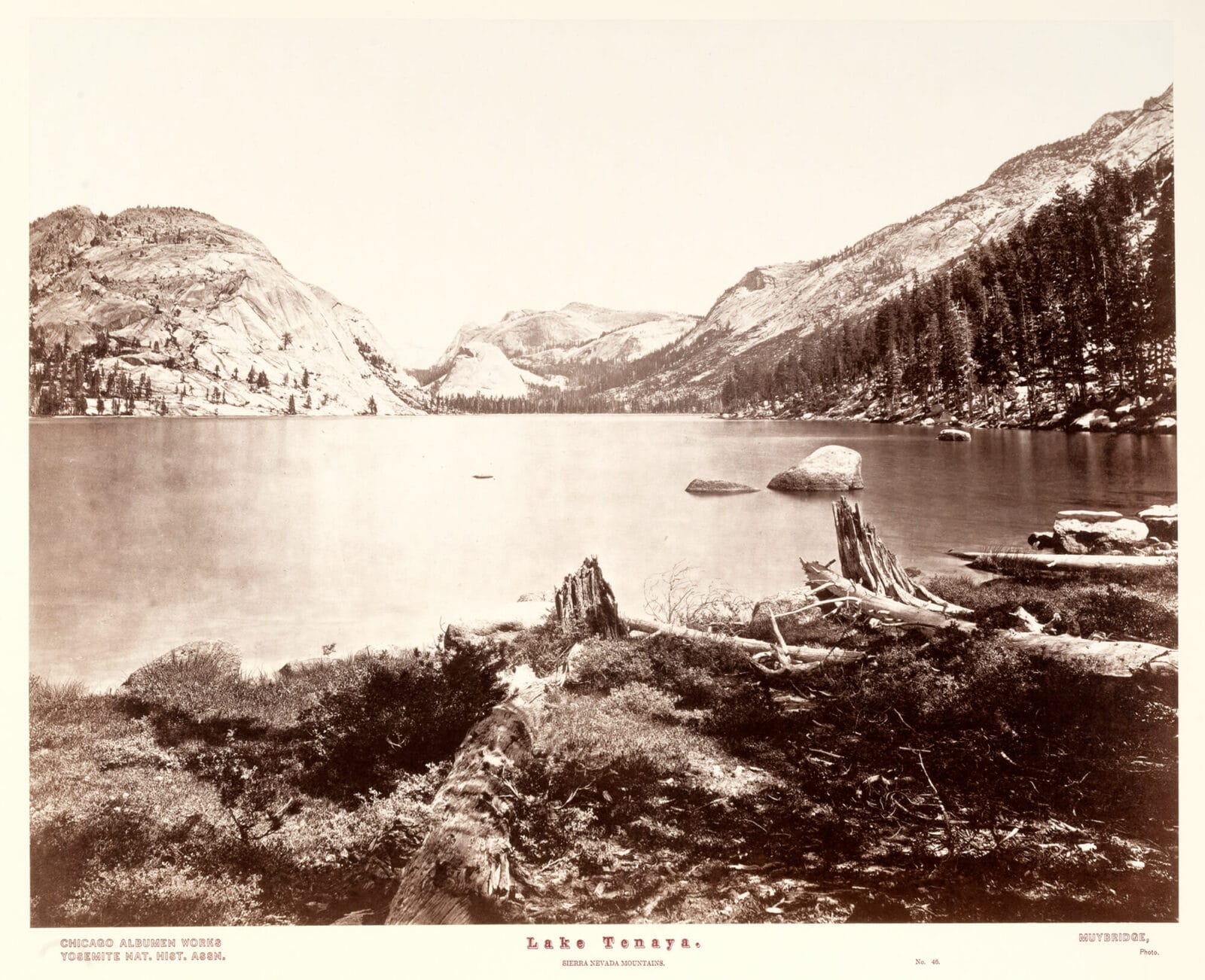 Lake Tenaya No. 46. Artist: Eadweard Muybridge. Date: 1977. Medium: copy print.