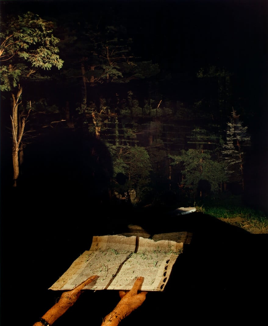 Lexicon. Artist: Lorie Novak. Date: 1988. Medium: Cibachrome print.