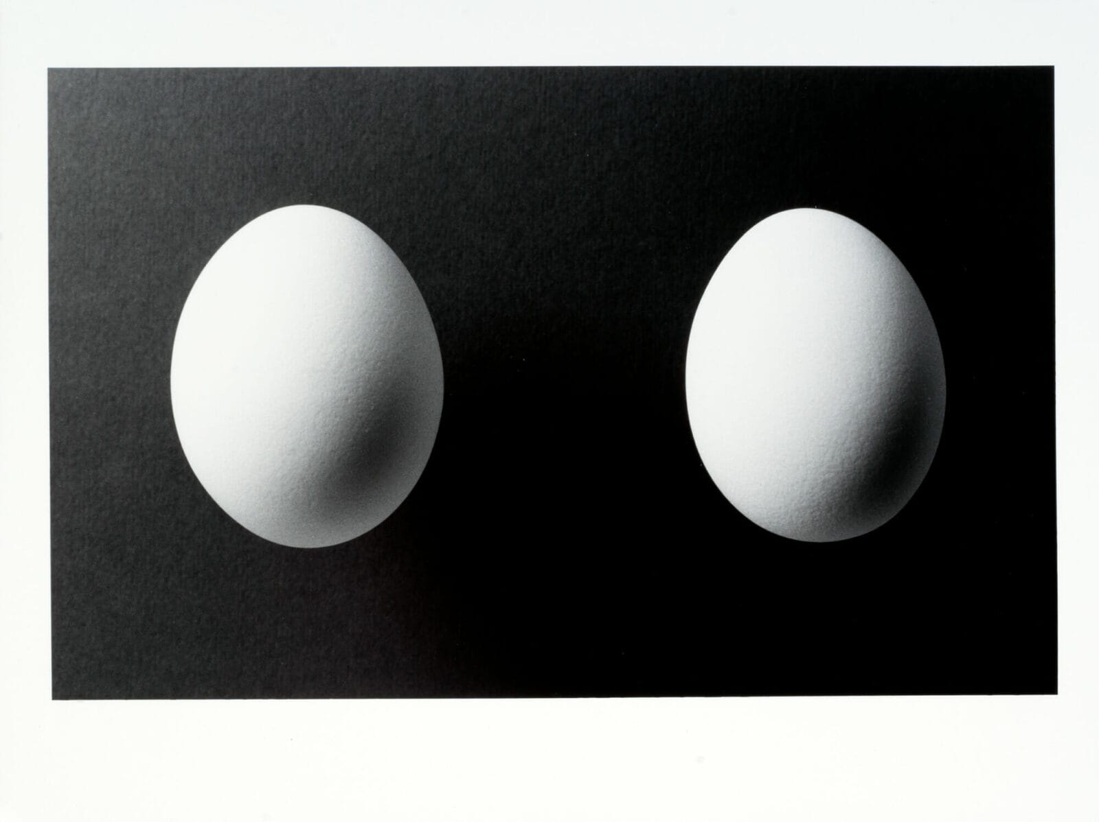 Two Eggs. Artist: Kenji Nakahashi. Date: 1984. Medium: gelatin silver print.