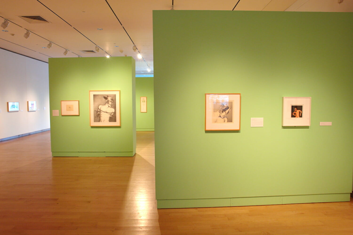 installation view of "The Singing Bird Rooms of Robert Lostutter" with framed artworks hanging across and on various walls