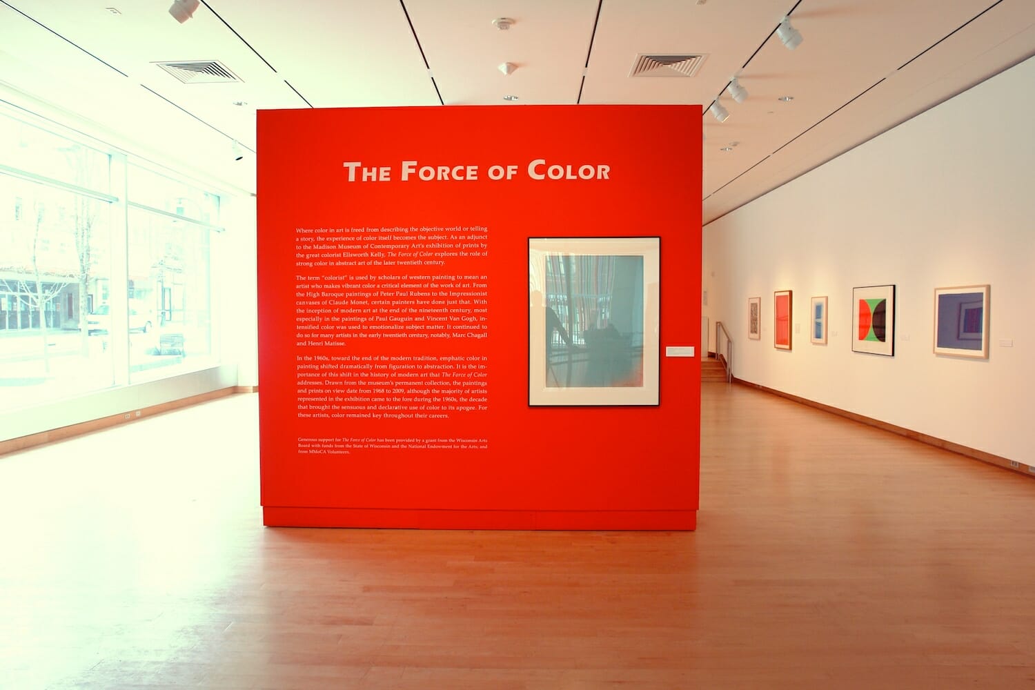 installation view of an exhibition with a wall with title text that reads "The Force of Color"