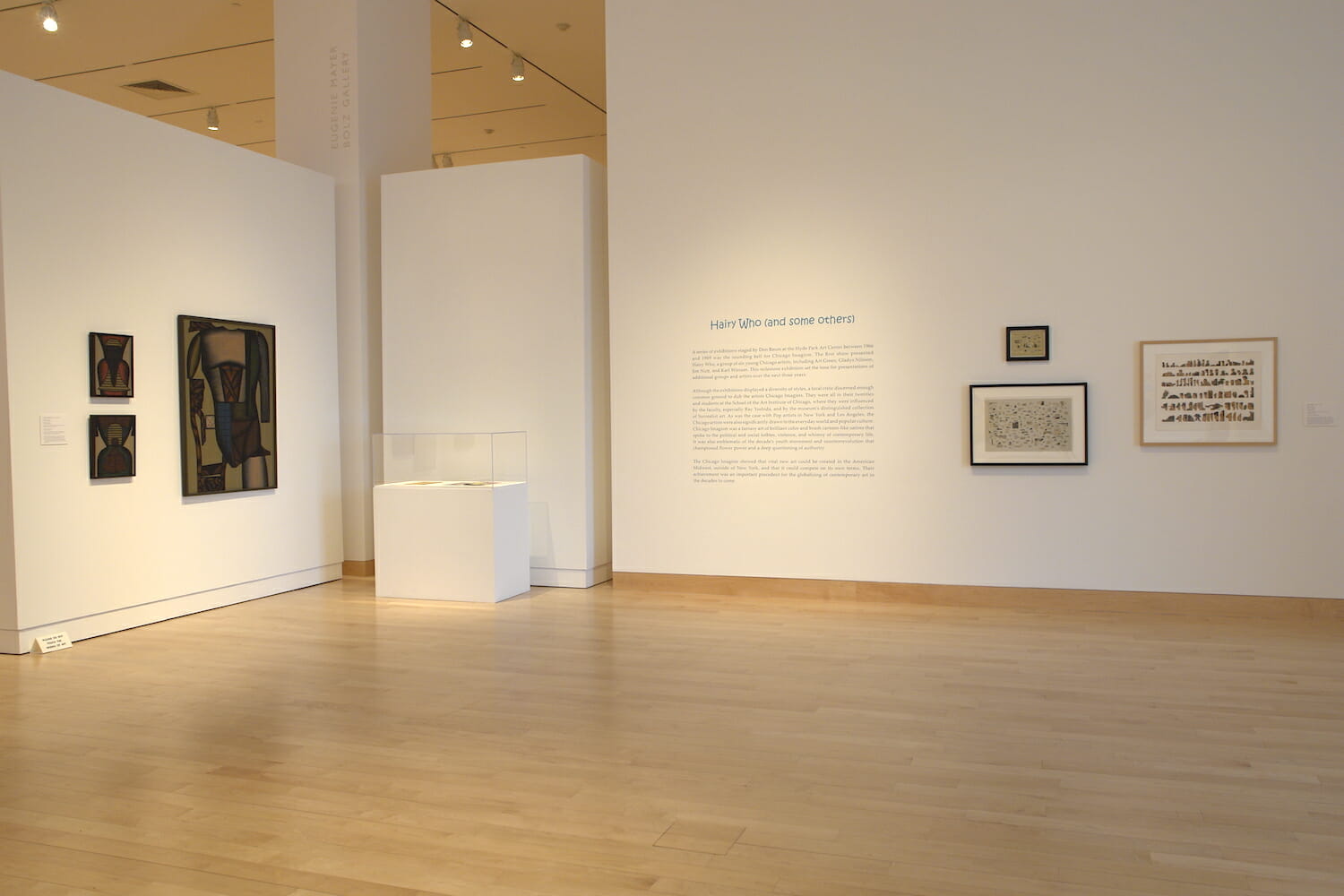 installation view of "Hairy Who" with title wall text and various hanging artworks or vitrine displays