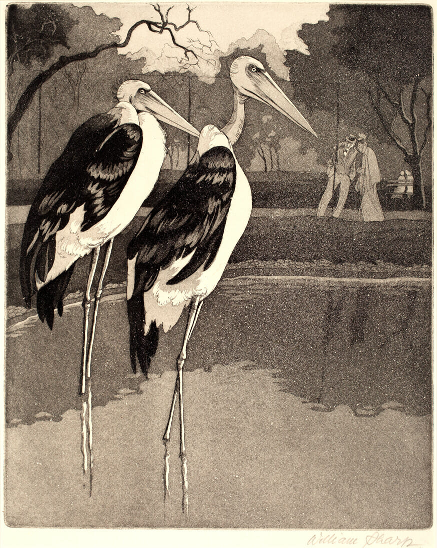 Lincoln Park Marabous. Artist: William Sharp. Date: 1940. Medium: aquatint.