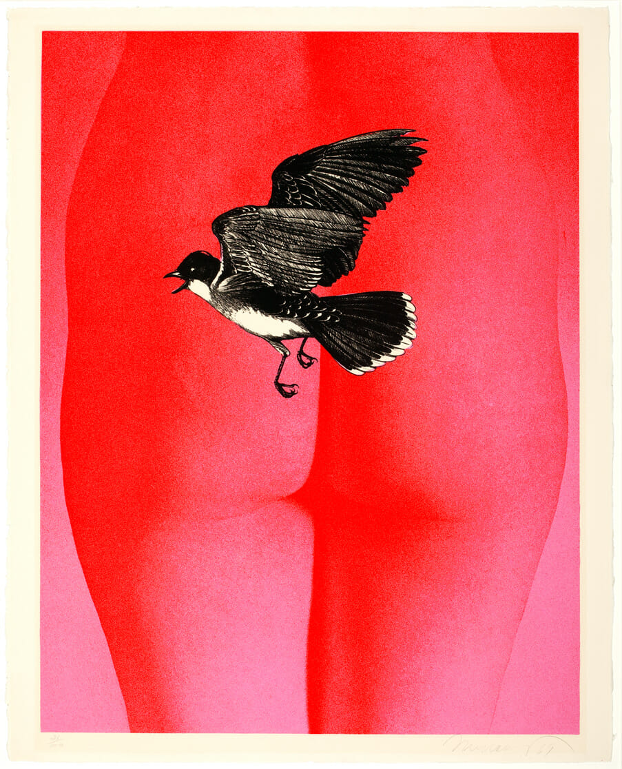 Fly Catcher. Artist: Mel Ramos. Medium: lithograph.