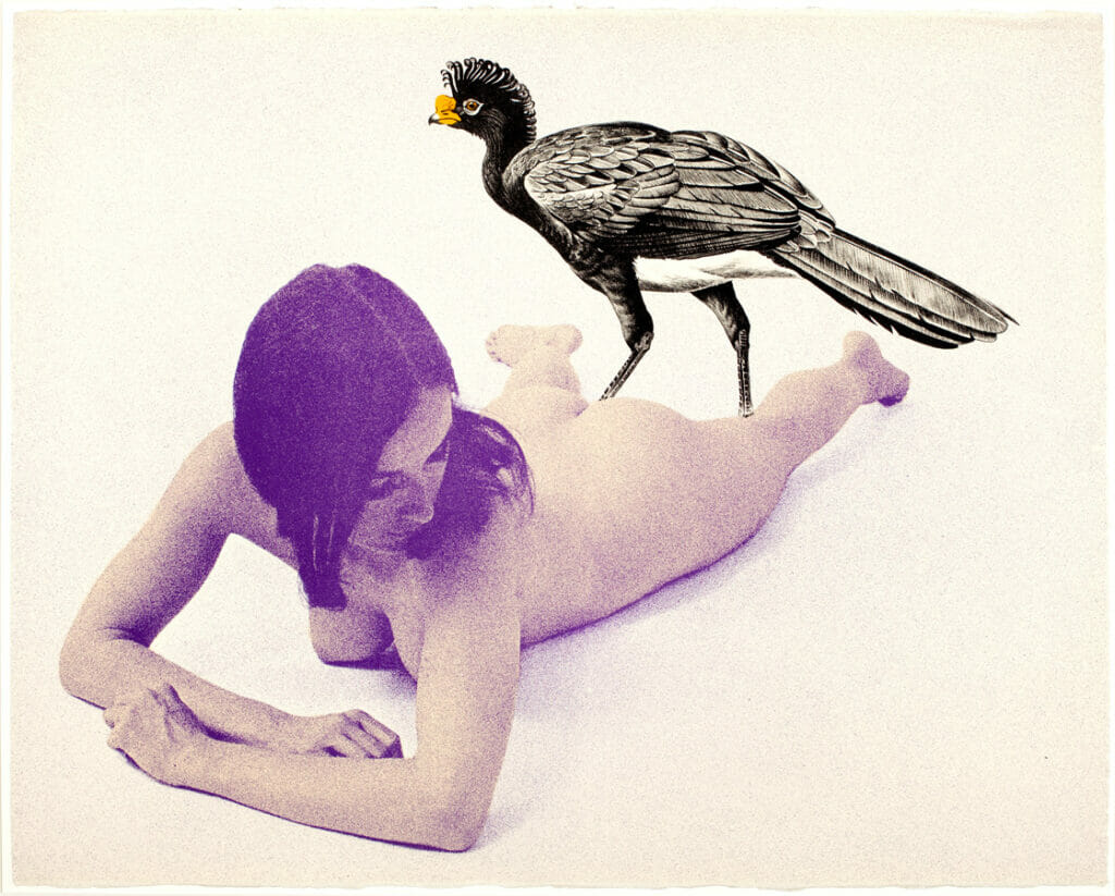 Curassow. Artist: Mel Ramos. Date: 1969. Medium: lithograph.