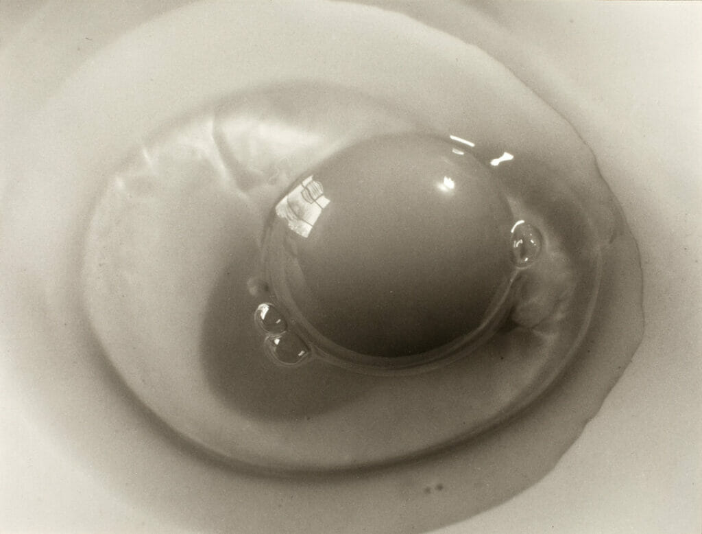 Egg. Artist: Rosamond Wolff Purcell. Date: 1976. Medium: gelatin silver print.