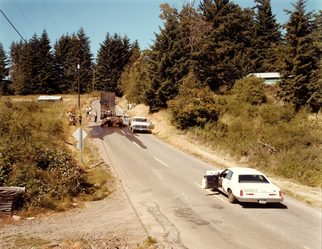 Exhausted Renegade Elephant, Woodland, Washington. Artist: Joel Sternfeld. Date: 1979. Medium: Ektacolor print.