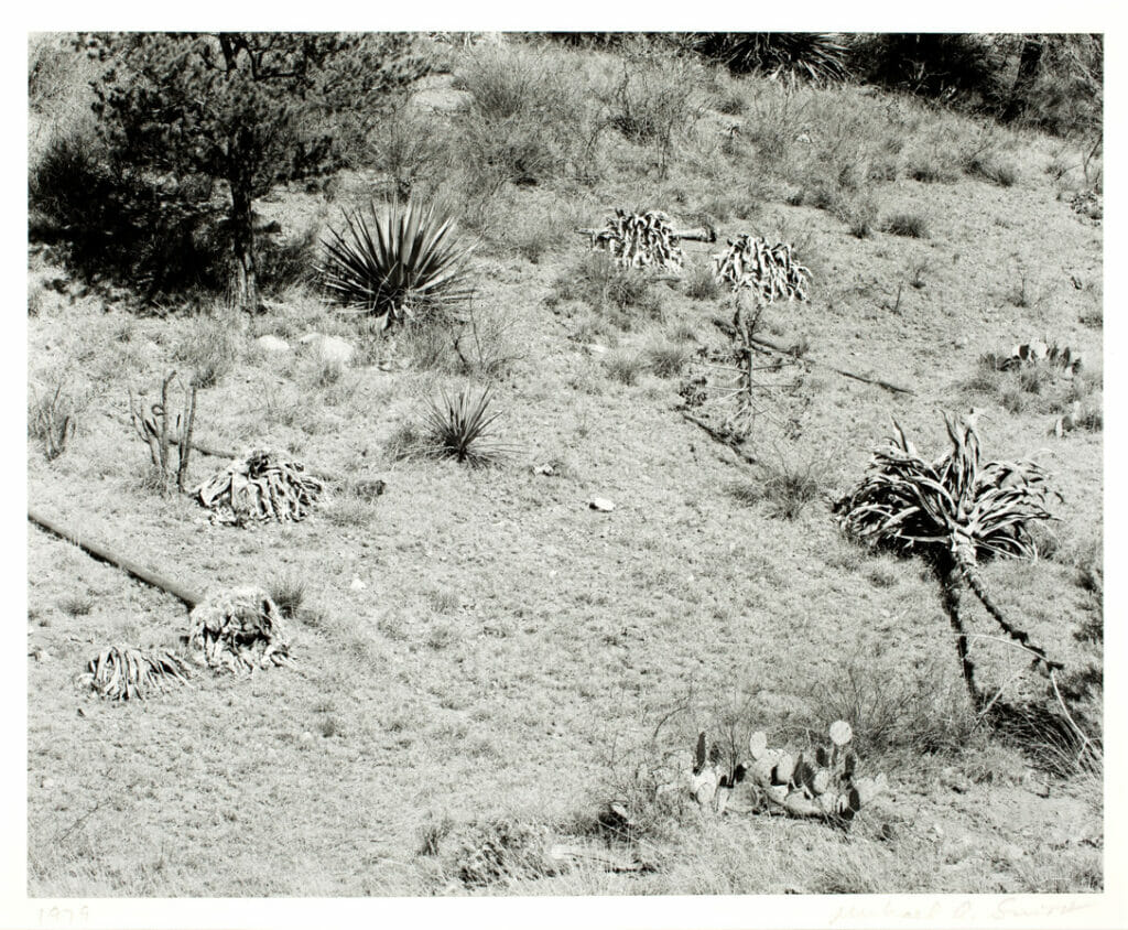 Chiracahua, Arizona. Artist: Michael A. Smith. Date: 1979. Medium: gelatin silver print.