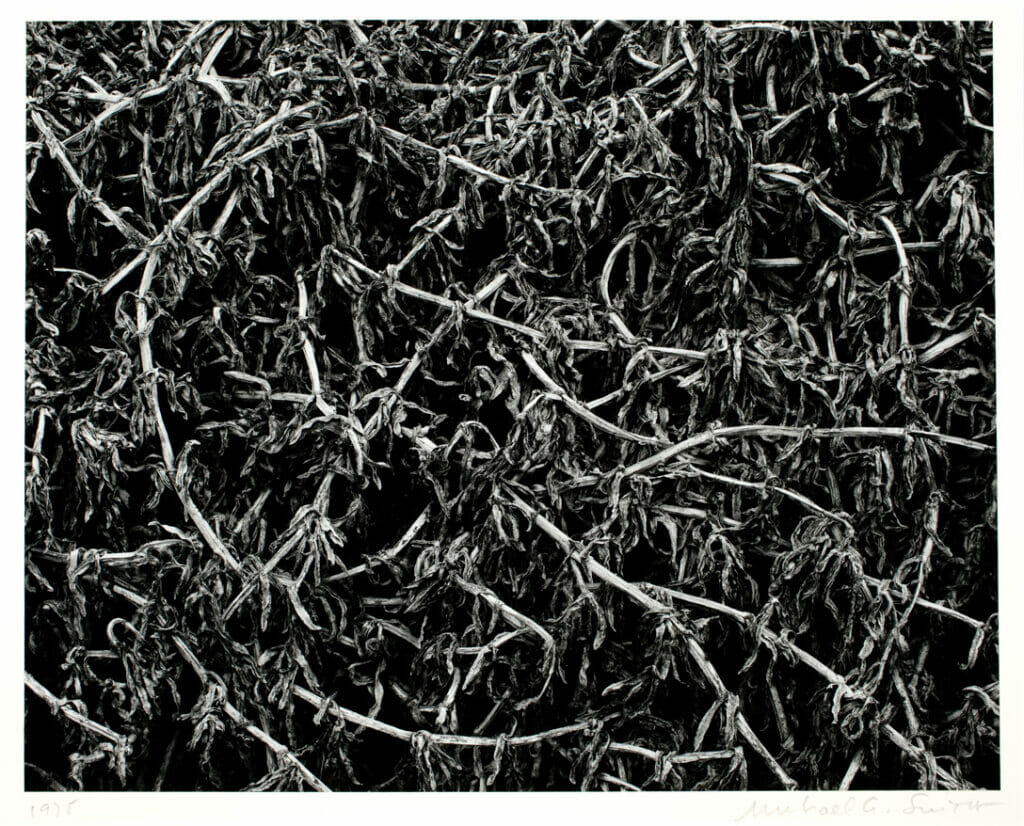 Near Guadeloupe, California. Artist: Michael A. Smith. Date: 1975. Medium: gelatin silver print.