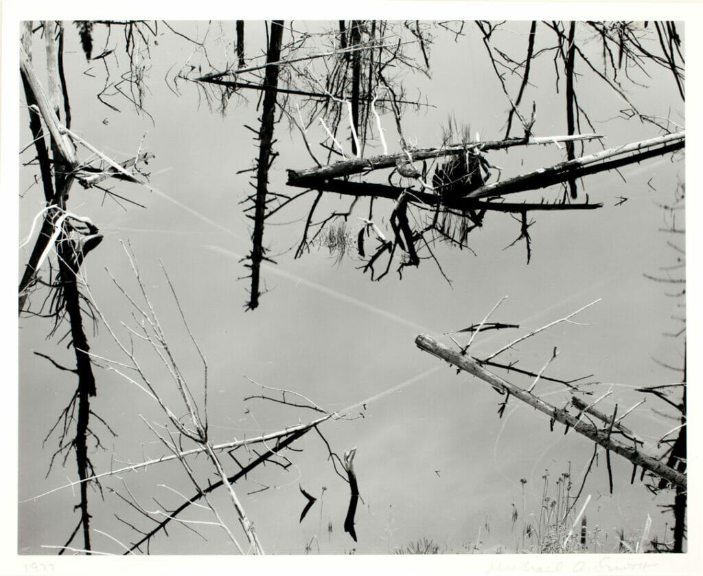 Near Newcomb, New York. Artist: Michael A. Smith. Date: 1977. Medium: gelatin silver print.