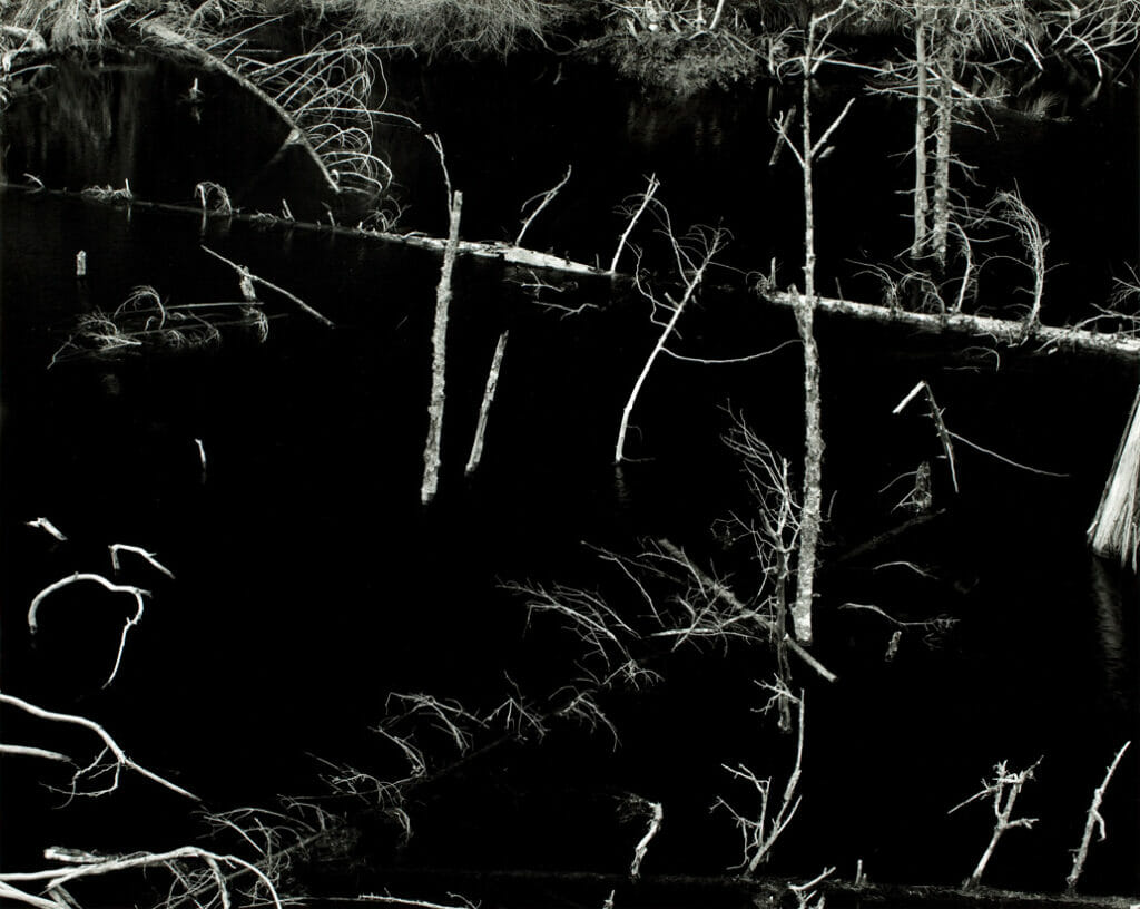 Near Blue River, British Columbia. Artist: Michael A. Smith. Date: 1975. Medium: gelatin silver print.