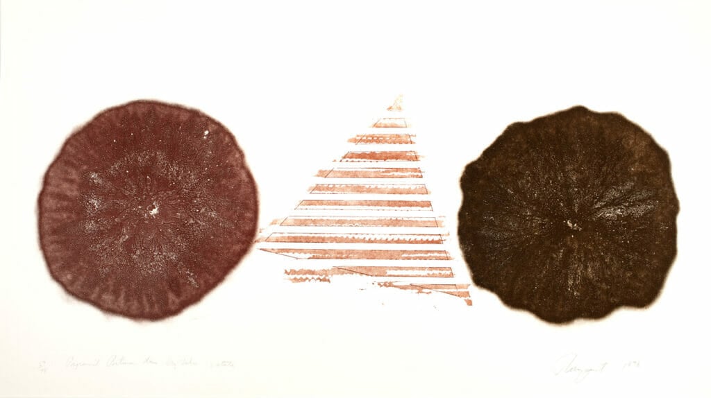 Pyramid Between Two Dry Lakes. Artist: James Rosenquist. Date: 1978. Medium: etching and aquatint.
