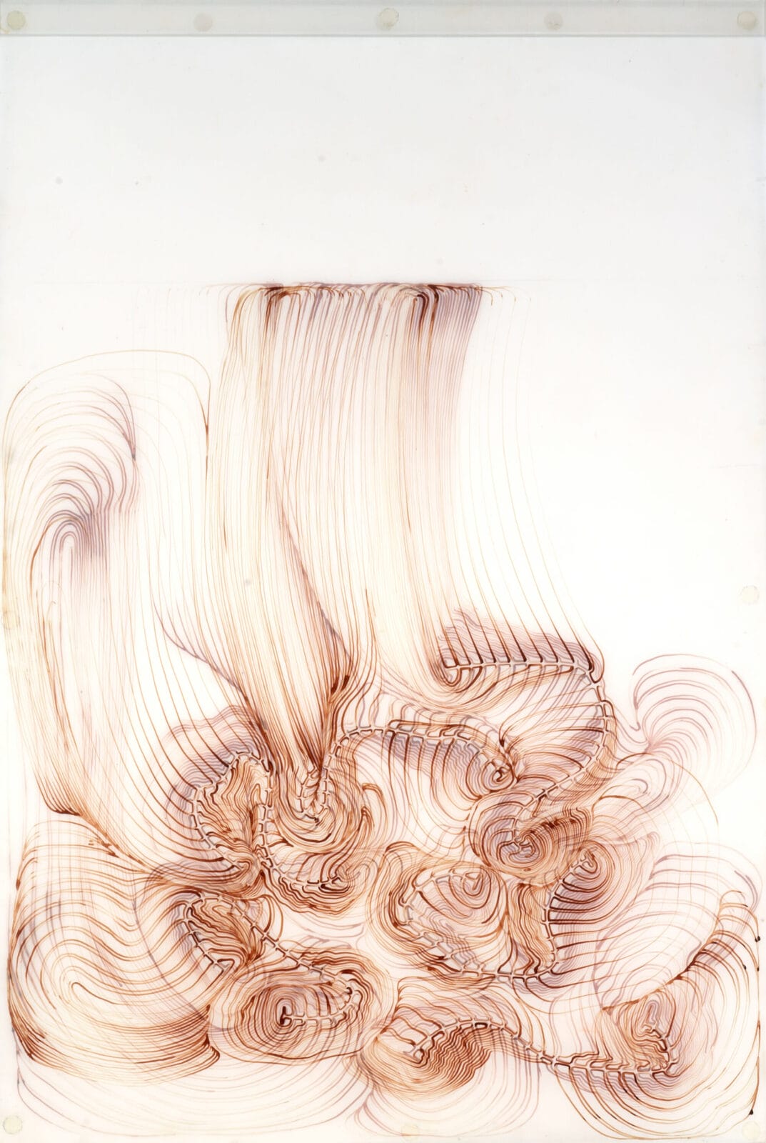 Petite Deluge. Artist: Linnéa Gabriella Spransy. Date: 2001. Medium: ink on frosted mylar.
