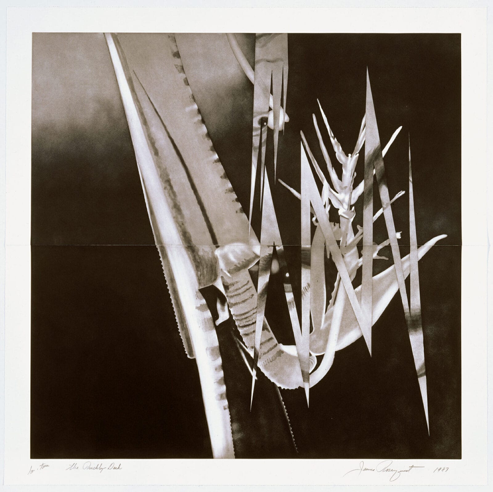 The Prickly Dark. Artist: James Rosenquist. Date: 1987. Medium: aquatint.