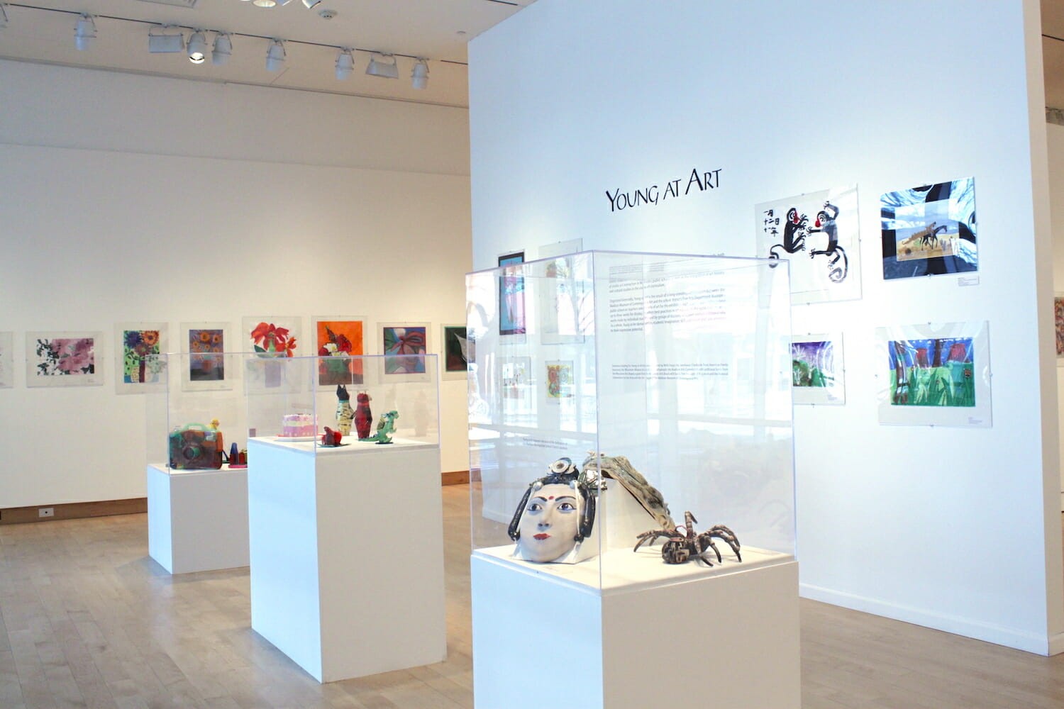 installation view of Young at Art featuring title wall text, art on display on walls, and small sculptures or artworks in vitrine display cases